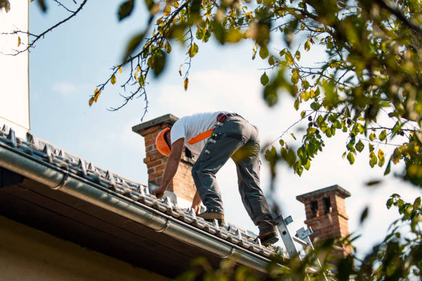 Best Best Roofing Contractors  in Twin Grove, IL