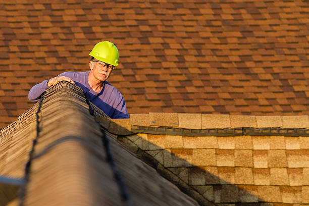 Best Storm Damage Roof Repair  in Twin Grove, IL