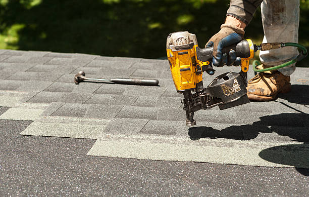 Roof Gutter Cleaning in Twin Grove, IL
