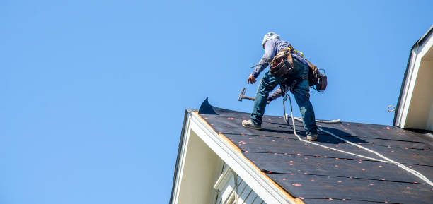 Gutter Installation and Roofing in Twin Grove, IL